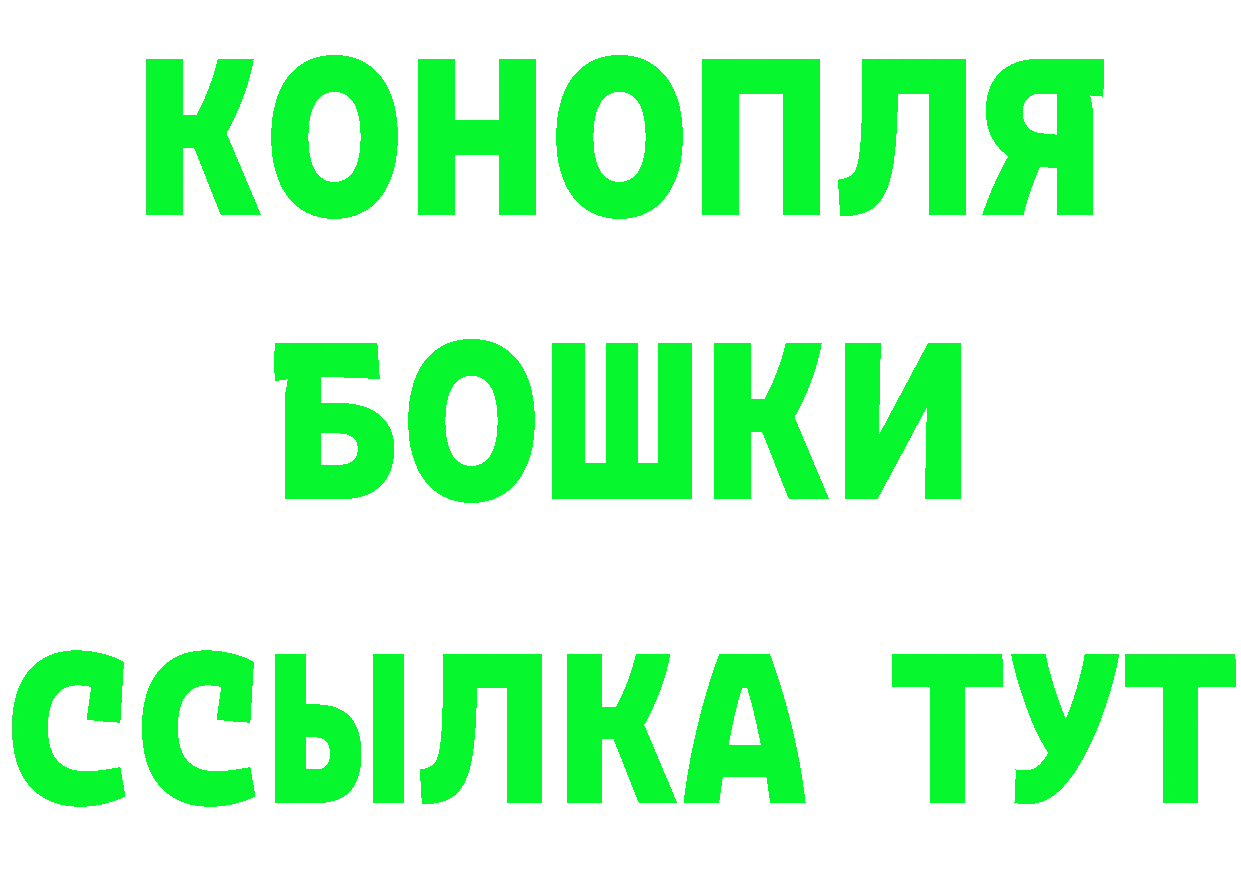 Где можно купить наркотики? это Telegram Данилов